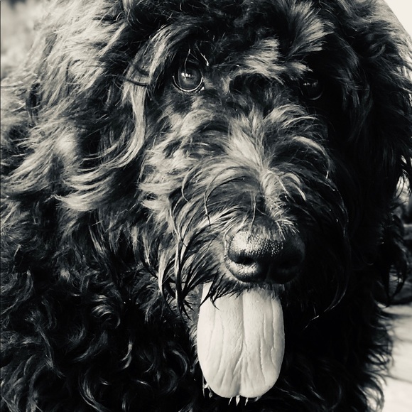 Meet your Posher, Karen - Picture 1 of 1